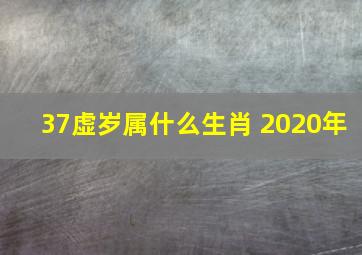 37虚岁属什么生肖 2020年